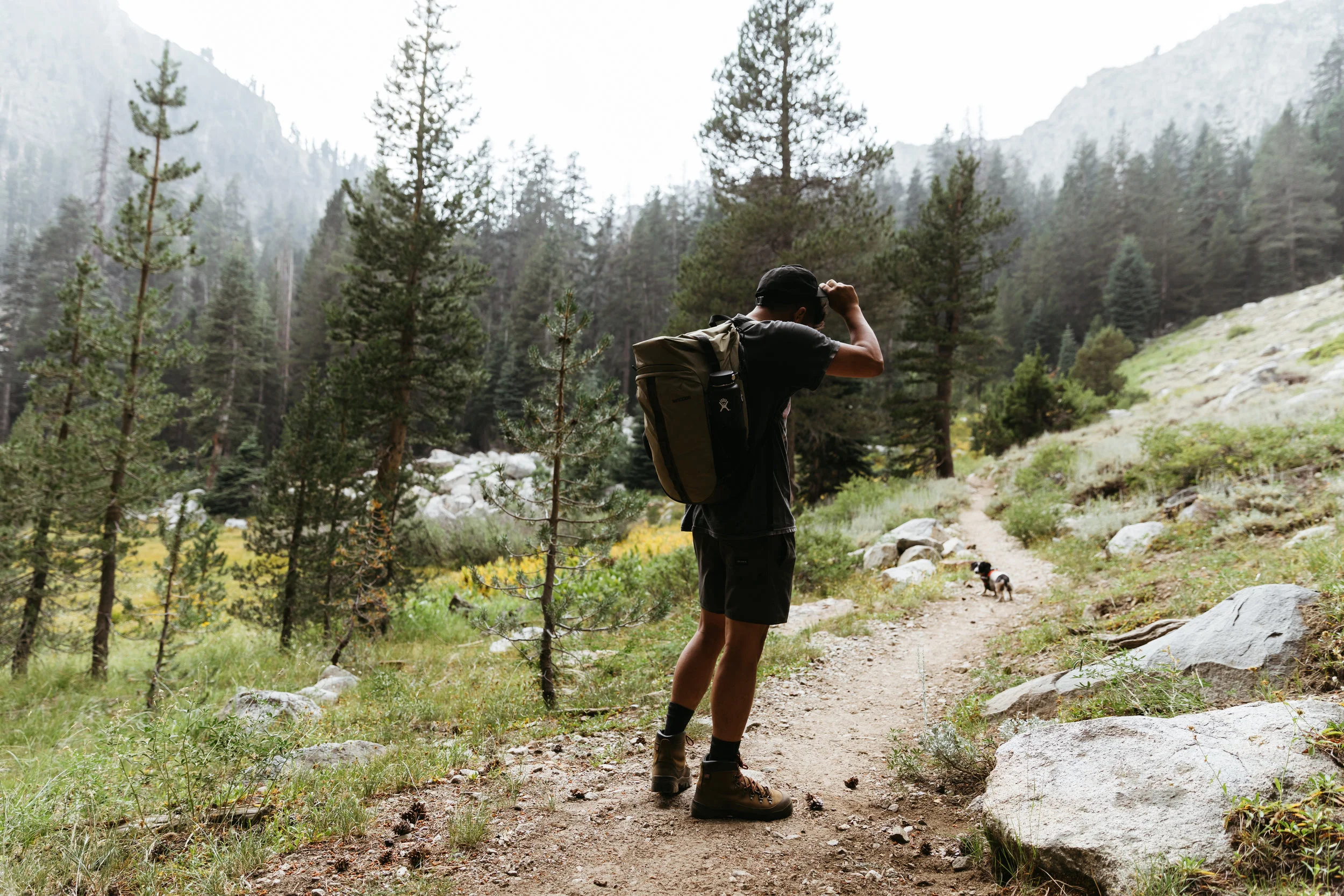 Incase top allroute backpack